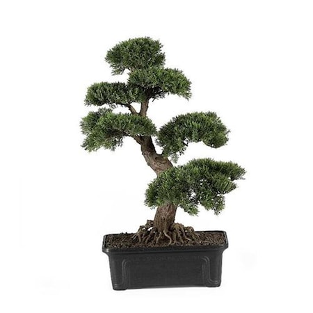 Nearly Natural Cedar Bonsai 24 in 4103